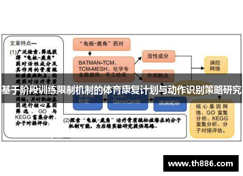 基于阶段训练限制机制的体育康复计划与动作识别策略研究